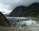 Fox Glacier