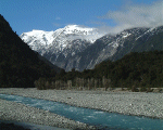 Franz Josef Glacier