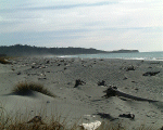 Gillespies Beach